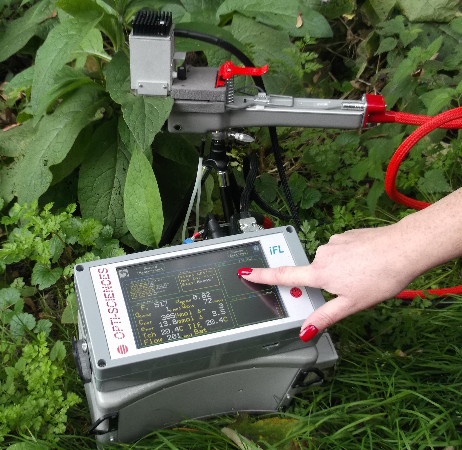 CCM300 chlorophyll content meter