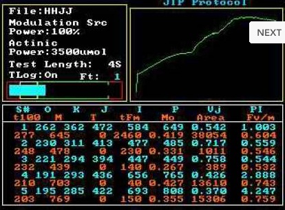 OS30p+ OJIP trace on screen