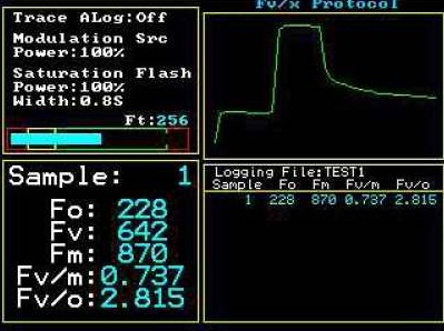 OS30p+ Fv/Fm graph on screen