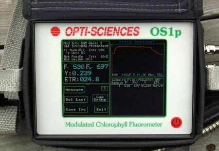 OS1p fluorometer close up of screen