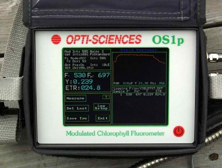 OS1p fluorometer close up of screen
