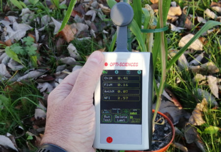 MPM-100 multi pigment meter measuring chlorophyll, anthocyanin, flavonol and nitrogen-flavonol index.