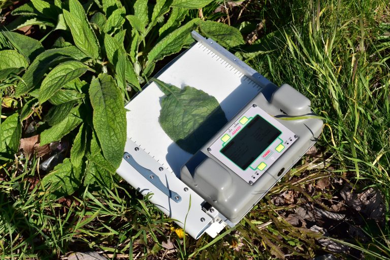 AM400 wide leaf measuring with board