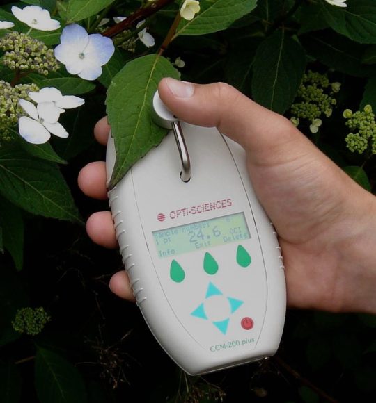 Measuring chlorophyll content with the CCM-200+