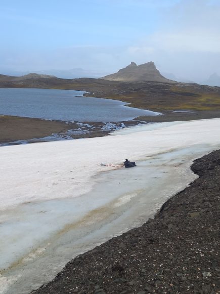 LCi-T infrared gas analysis of snow