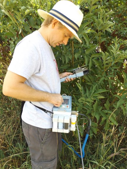 LCpro T measuring a leaf