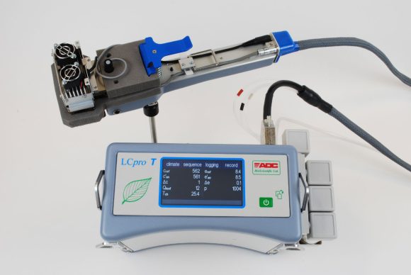 LCpro T narrow leaf chamber