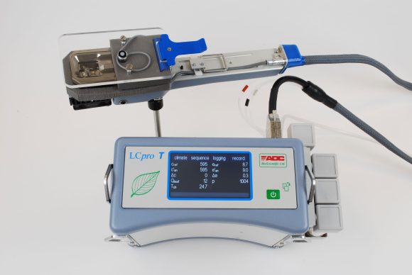 LCpro T with broad leaf chamber