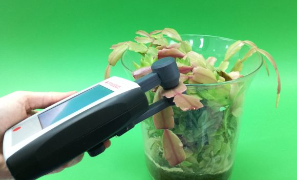 MPM-100 measuring a christmas cactus