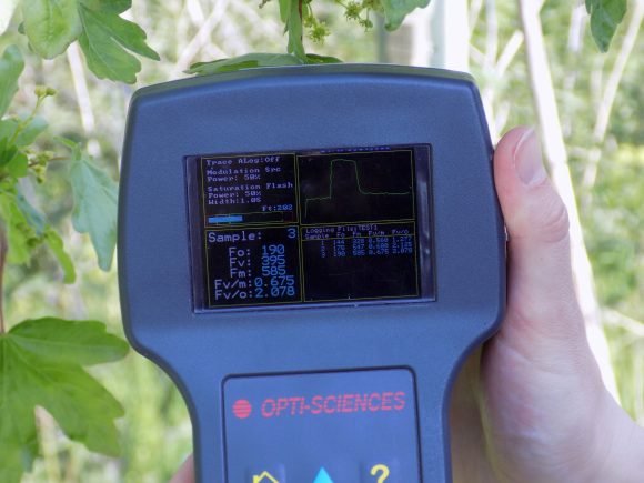OS30P+ Chlorophyll Fluorometer