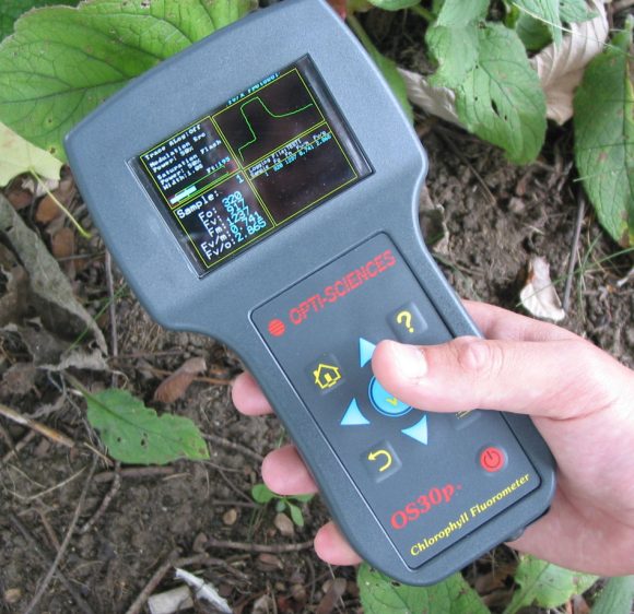 OS30P+ showing FvFm test screen