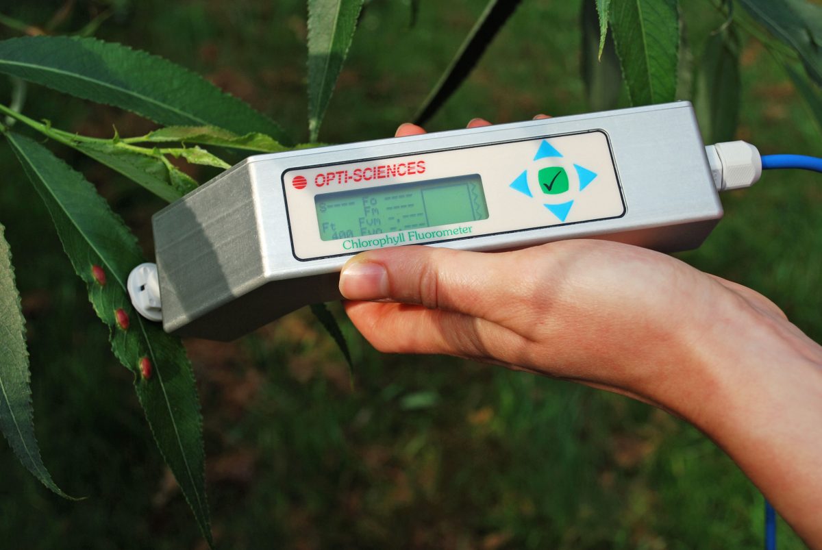 Plant Stress Kit – Fv/Fm Meter